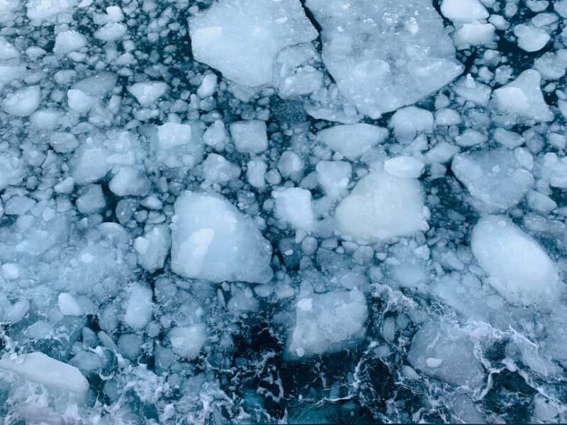 Hokkaido-2 Day Tour to Icebreaker Mombetsu and Asahiyama Zoo - The Sum Up