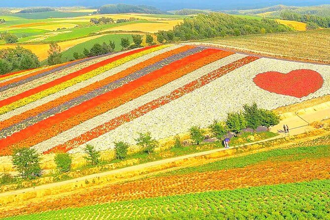 Hokkaido, Asahikawa Zoo Classic Day Tour With Optional Snomobile - Practical Considerations