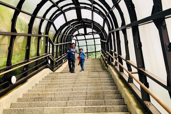 Hokkaido Asahiyama Zoo and Blue Pond Elf Terrace Day Trip - A Look at the Itinerary: A Day of Contrasts and Charm