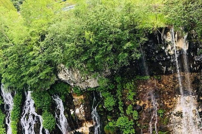 Hokkaido Asahiyama Zoo and Blue Pond Elf Terrace Day Trip - FAQ