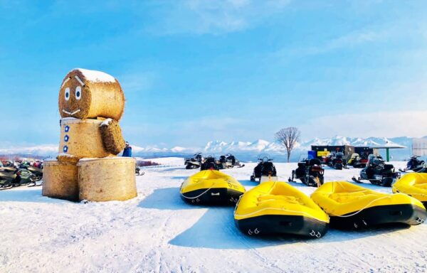 Hokkaido: Asahiyama Zoo, Biei, and Ningle Terrace Tour - Weather Considerations