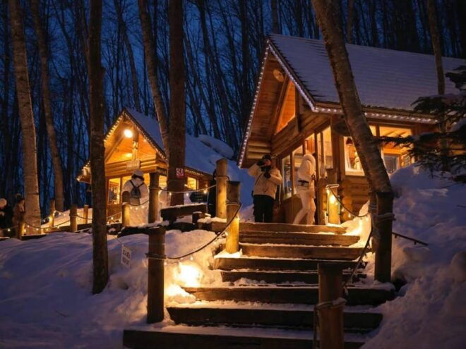Hokkaido: Asahiyama Zoo, Biei, and Ningle Terrace Tour - Winter Activities at Shikisai No Oka