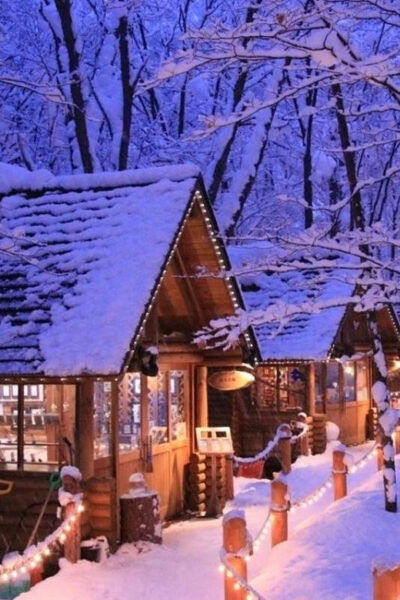 Hokkaido: Asahiyama Zoo, Biei, and Ningle Terrace Tour - Important Tour Information