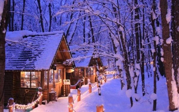 Hokkaido: Asahiyama Zoo, Biei, and Ningle Terrace Tour - Booking and Cancellation Policy