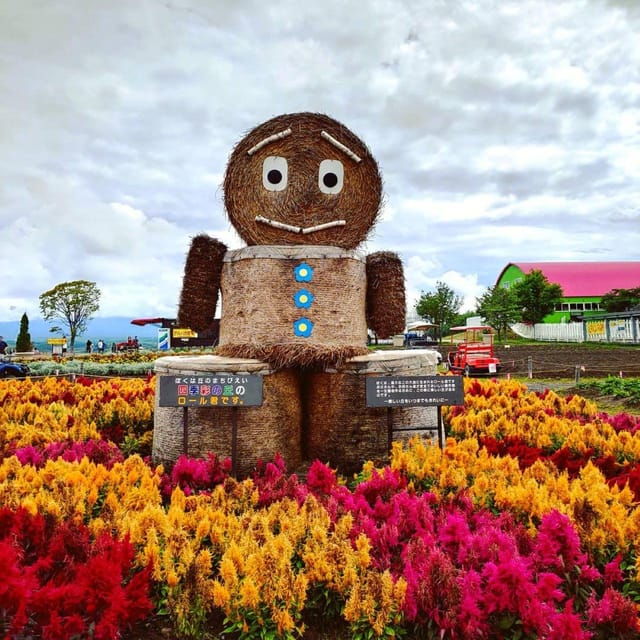 Hokkaido Asahiyama Zoo, Biei, Aoike, Elf Terrace Day Tour - Scenic Beauty of Biei
