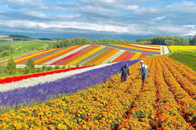 Hokkaido Asahiyama Zoo, Biei, Aoike, Elf Terrace Day Tour - Booking and Cancellation Policy