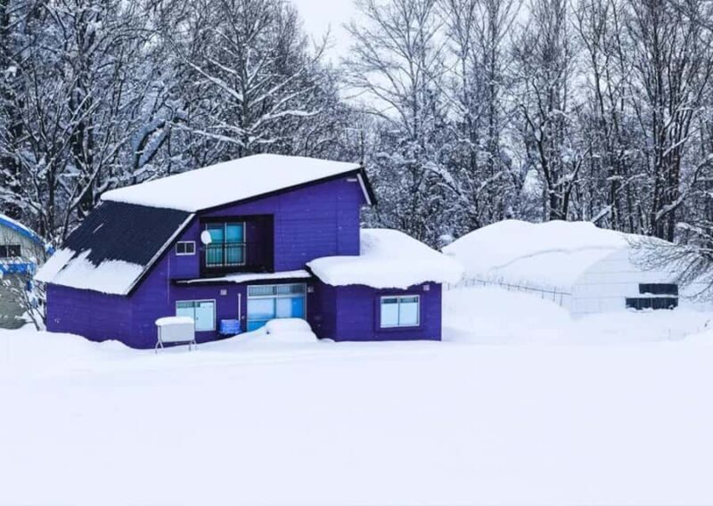 Hokkaido: Asahiyama Zoo Biei Ningle Terrace Day Tour - Who Would Love This Experience?