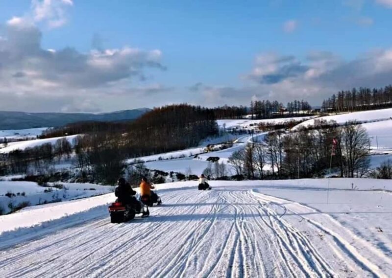 Hokkaido: Asahiyama Zoo Biei Ningle Terrace Day Tour - Final Thoughts