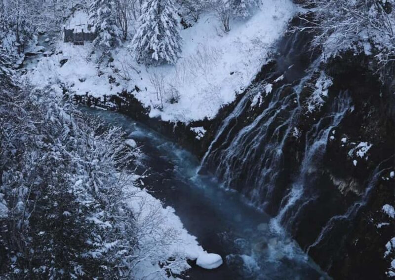 Hokkaido: Asahiyama Zoo Biei Ningle Terrace Day Tour - FAQ