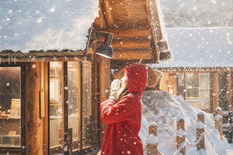 Hokkaido Asahiyama Zoo & Biei One Day Tour | Chinese/English Bilingual Tour Guide + Optional Small Group + Optional Hotel Pick-up - A long ride from Sapporo, made easier by a driver