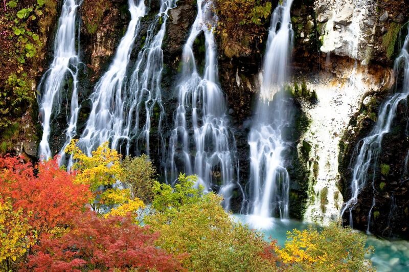 Hokkaido Asahiyama Zoo & Forest Elf Terrace Day Trip - Guides can make a crowded day feel easier