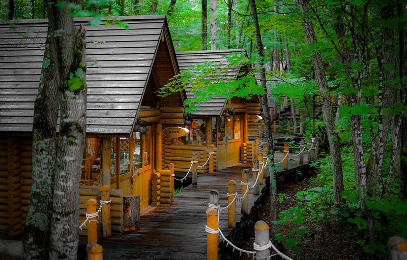 Hokkaido Asahiyama Zoo & Forest Elf Terrace Day Trip - Who should choose this day trip?