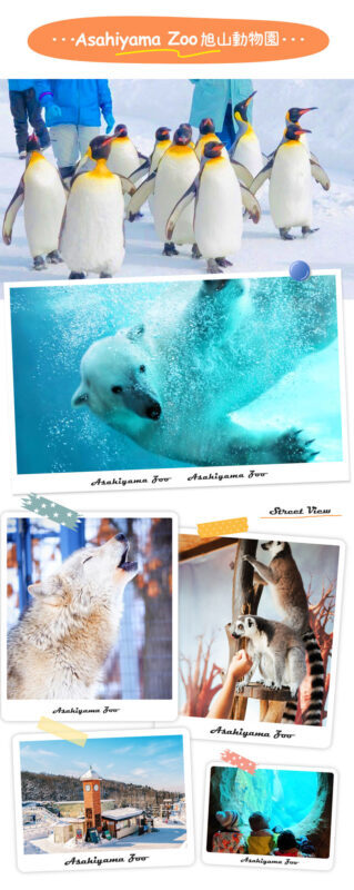 Hokkaido Asahiyama Zoo Four Seasons Story: Blue Pond, Shirasu Waterfall, Shikisai no Oka, Forest Elf Terrace One-Day Tour - A tree, a farm and a seasonal change of pace