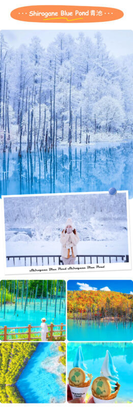 Hokkaido Asahiyama Zoo Four Seasons Story: Blue Pond, Shirasu Waterfall, Shikisai no Oka, Forest Elf Terrace One-Day Tour - Shikisai no Oka and Ningle Terrace