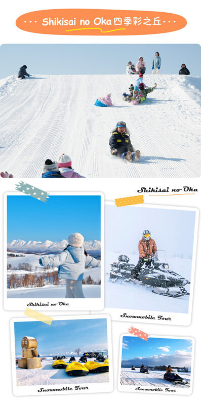 Hokkaido Asahiyama Zoo Four Seasons Story: Blue Pond, Shirasu Waterfall, Shikisai no Oka, Forest Elf Terrace One-Day Tour - Who should book this day trip?