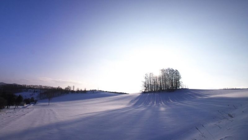 Hokkaido Asahiyama Zoo & Shikisai-no-Oka & Biei Christmas Tree & Ningle Terrace Day Trip: Departing from Sapporo (Winter option: Snowmobile) - Ningle Terrace: a change of pace at the end