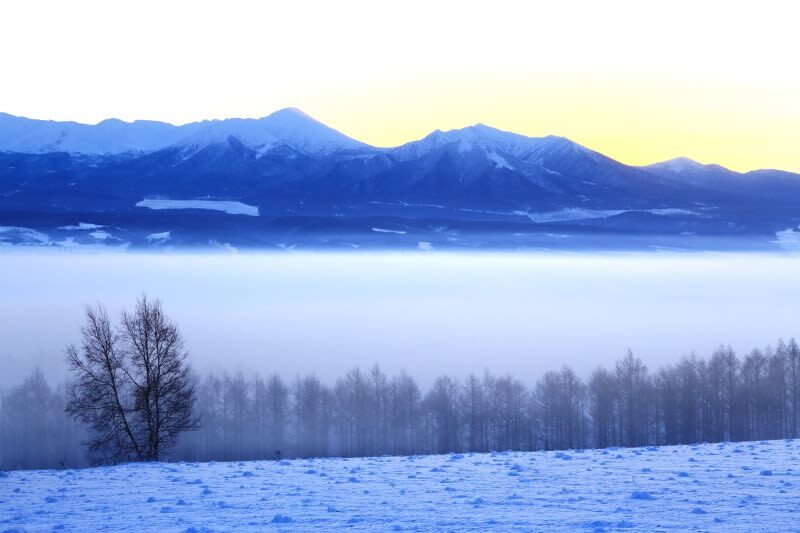 Hokkaido Asahiyama Zoo & Shikisai-no-Oka & Biei Christmas Tree & Ningle Terrace Day Trip: Departing from Sapporo (Winter option: Snowmobile) - Snowmobile option: worth considering, but check the price