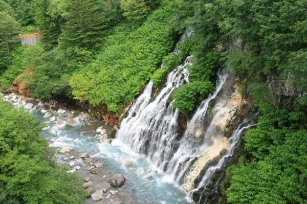Hokkaido Asahiyama Zoo Tour With Melon Buffet Option - Booking Information