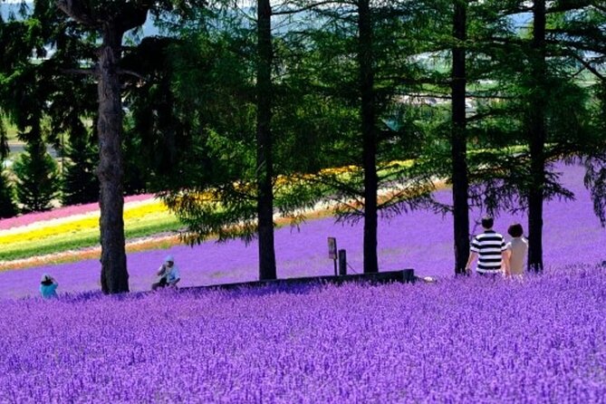 Hokkaido Asahiyama Zoo,Furano and Biei English/Chinese Bus Tour - Important Notes