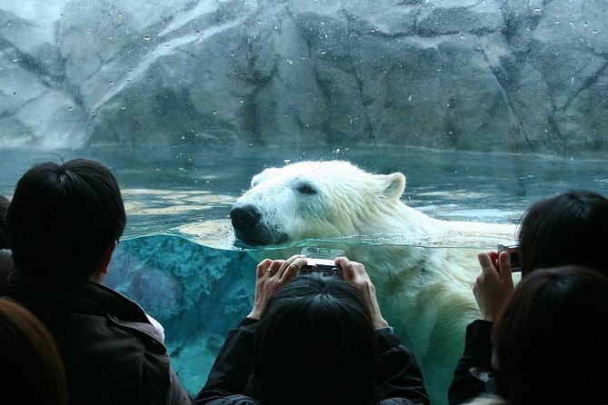 Hokkaido Asahiyama Zoo,Furano and Biei English/Chinese Bus Tour - Weather and Cancellation Policy