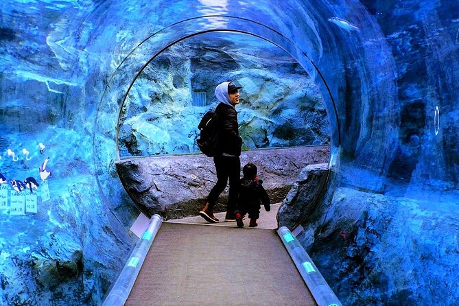 Hokkaido Asahiyama Zoo,Furano and Biei English/Chinese Bus Tour - Reviews