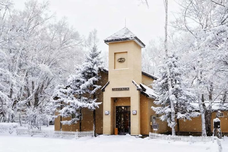 Hokkaido Asahiyama Zoo+Ningle Terrace+Biei Farm Snow Play - Authentic Insights from Reviewers