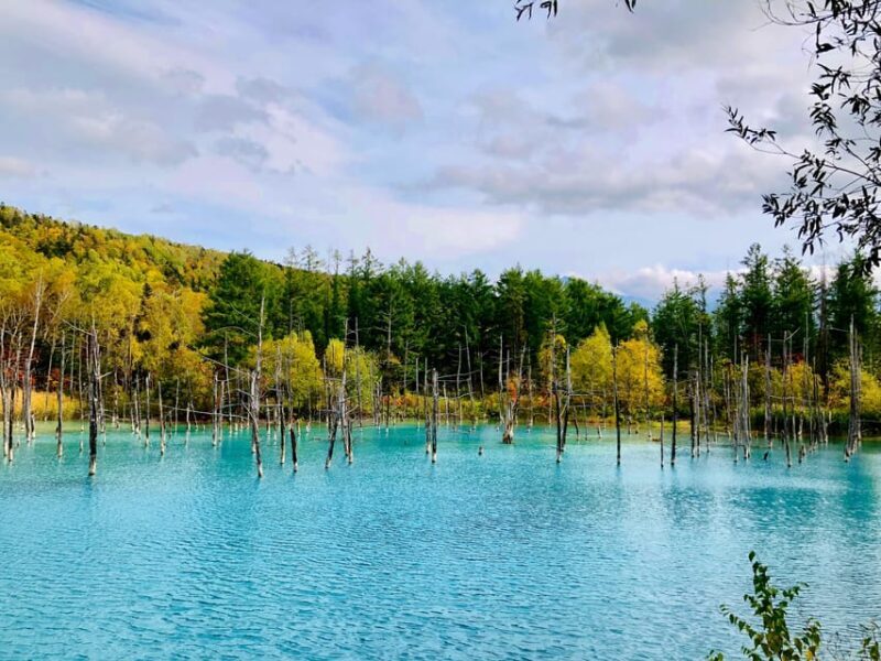 Hokkaido Asahiyama Zoo+Ningle Terrace+Biei Farm Snow Play - FAQs