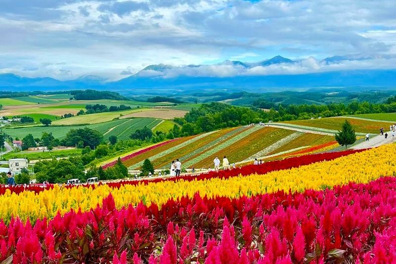 Hokkaido Autumn Exclusive | Farm Tomita, Shikisai no Oka, Blue Pond, Shirasu Waterfall Day Tour (Departing from Sapporo) - Blue Pond is a quiet-looking stop with a vivid color