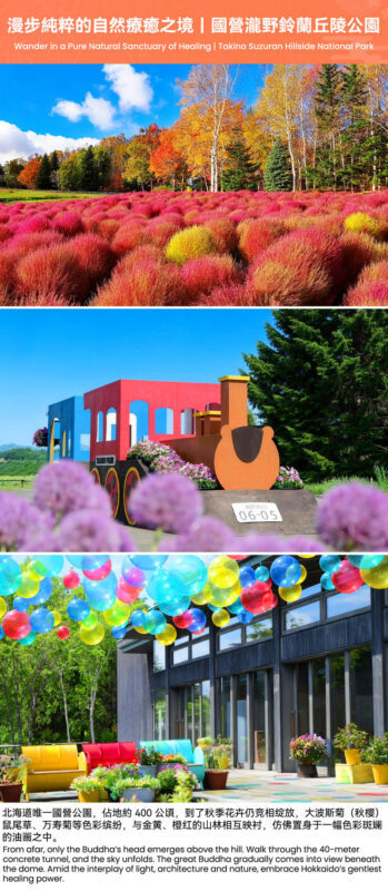Hokkaido Autumn Foliage Day Tour: Hoheikyo Gorge, The Great Buddha Hall, Takino Suzuran Hillside Park, Lake Shikotsu, and Shiroi Koibito Park - Shiroi Koibito Park rounds out the route