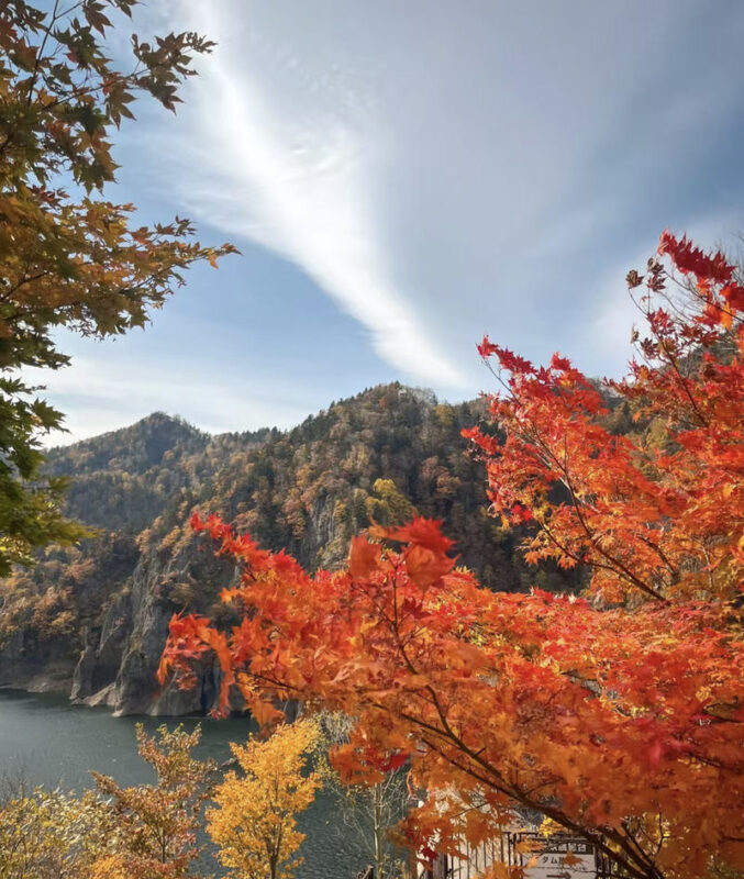 Hokkaido Autumn Foliage Day Trip: Jozankei & Hoheikyo Dam & Showa-shinzan Bear Ranch & Mount Yotei Spring Water Park (Departing from Sapporo) - Lake Toya from above