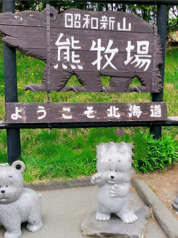 Hokkaido Autumn Maple Viewing Limited - Lake Toya Jozankei Onsen & Mount Yotei Spring Water Park & Lake Toya Showa Shinzan Bear Ranch Day Tour - Jozankei foliage and hot springs: a brief afternoon stop