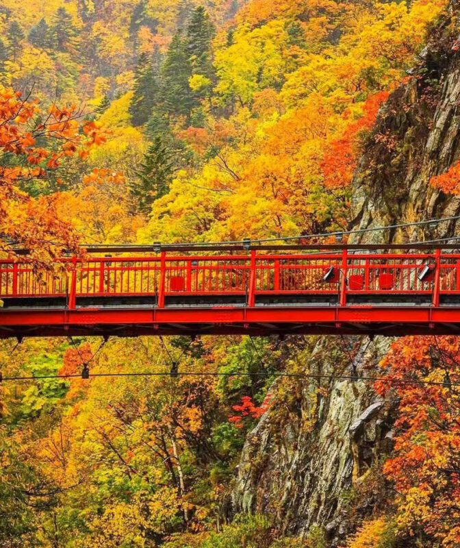 Hokkaido Autumn Maple Viewing Limited - Lake Toya Jozankei Onsen & Mount Yotei Spring Water Park & Lake Toya Showa Shinzan Bear Ranch Day Tour - Price, extra costs and who gets the most from this tour