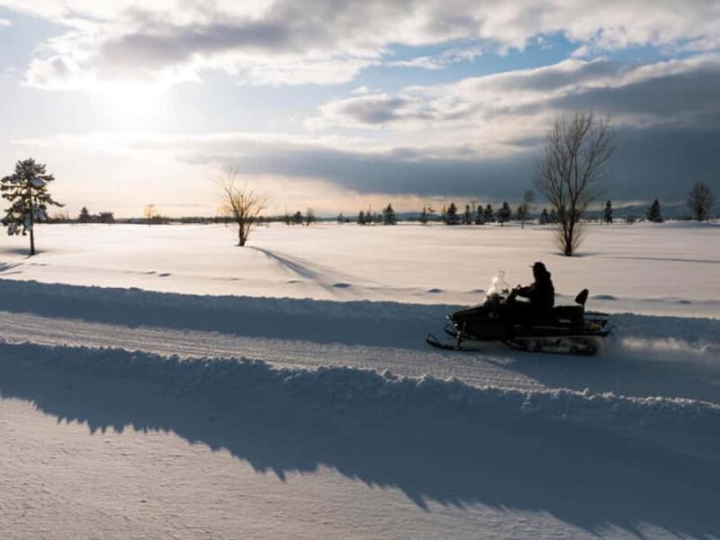 Hokkaido: Bibai Snow Land Gold Plan with Lunch & Snowmobile - Who Would Love This Tour?