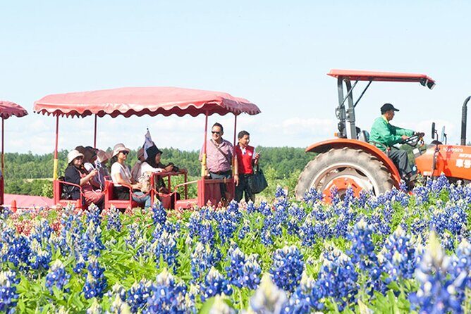 Hokkaido Biei Blue Pond Furano Flower Farm Ningle Terrace Trip - FAQs