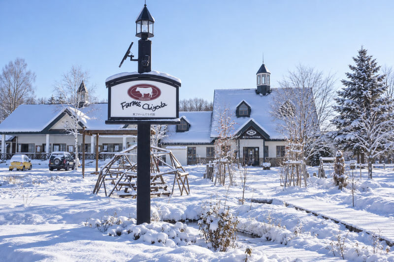 Hokkaido Biei Chiyoda Farm Snowmobile Experience | Includes Farm-Limited Jersey Milk - What happens from check-in to the lookout