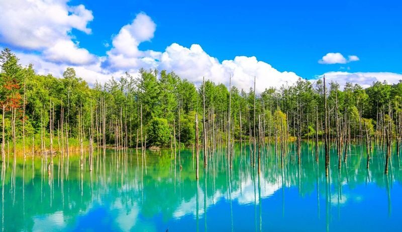 Hokkaido Biei Furano Day Tour: Shikisai-no-Oka, optional snowmobile in winter, Shirogane Blue Pond, Shirahige Waterfall, Ningle Terrace - From Sapporo to Biei: a long ride with a purpose