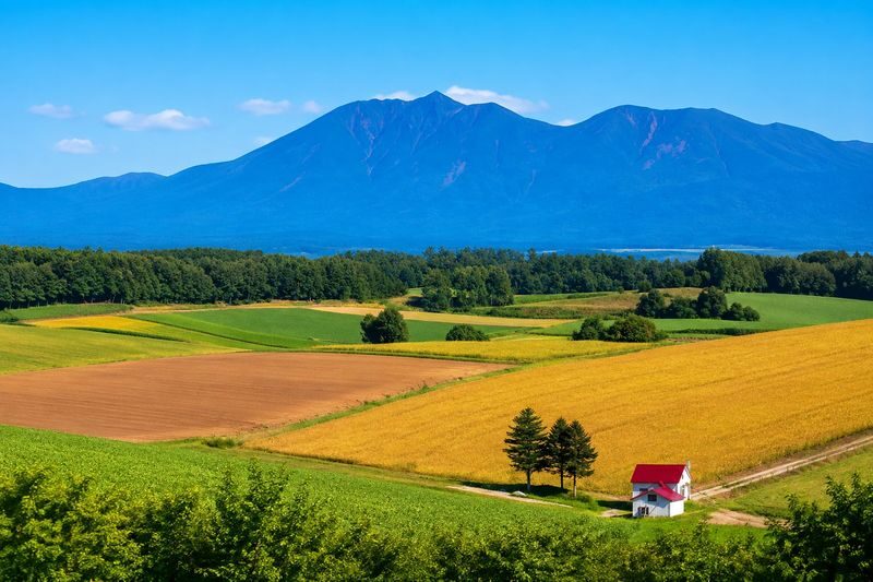 Hokkaido Biei Furano Day Tour: Shikisai-no-Oka, optional snowmobile in winter, Shirogane Blue Pond, Shirahige Waterfall, Ningle Terrace - Shikisai-no-Oka: flowers, snow, and optional speed