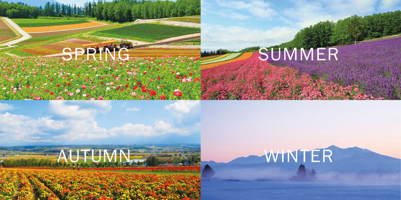 Hokkaido Biei Furano Day Tour: Shikisai-no-Oka, optional snowmobile in winter, Shirogane Blue Pond, Shirahige Waterfall, Ningle Terrace - Shirahige Waterfall: blue water against white snow