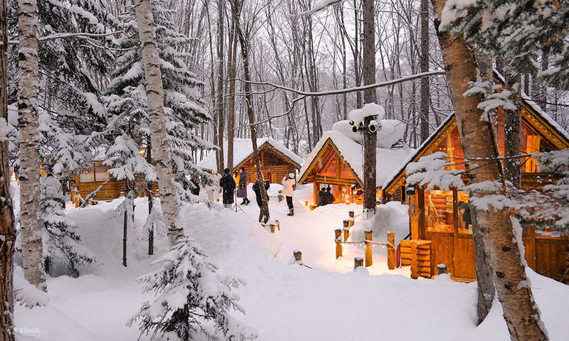 Hokkaido Biei Furano Day Tour: Shikisai-no-Oka, optional snowmobile in winter, Shirogane Blue Pond, Shirahige Waterfall, Ningle Terrace - What the price buys, and what it does not