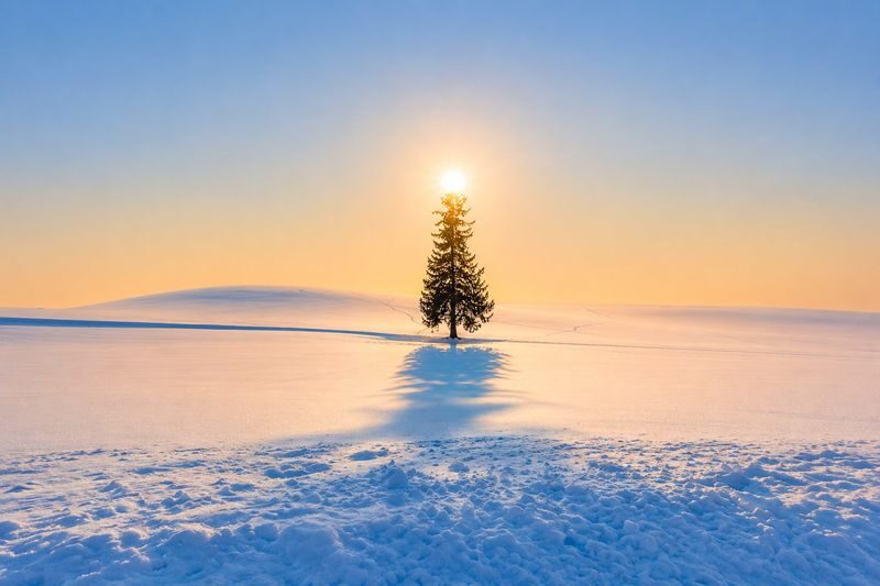Hokkaido Biei Furano Day Tour: Shikisai-no-Oka, optional snowmobile in winter, Shirogane Blue Pond, Shirahige Waterfall, Ningle Terrace - Who should book this Biei day trip?