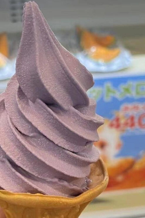 Hokkaido: Biei Furano One-Day Tour (Lunch&Melons Option) - Good To Know