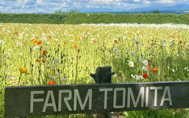 Hokkaido: Biei Furano One-Day Tour (Lunch&Melons Option) - Included Services