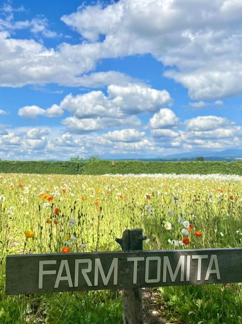 Hokkaido: Biei Furano One-Day Tour (Lunch&Melons Option) - Important Information