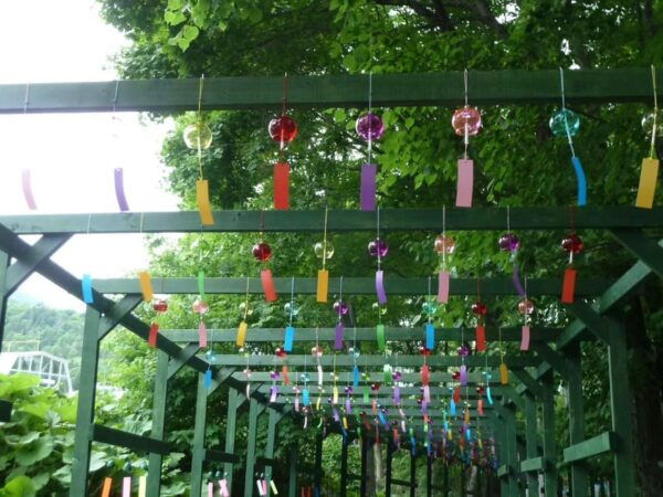 Hokkaido: Biei Furano One-Day Tour (Lunch&Melons Option) - Tips for a Great Experience
