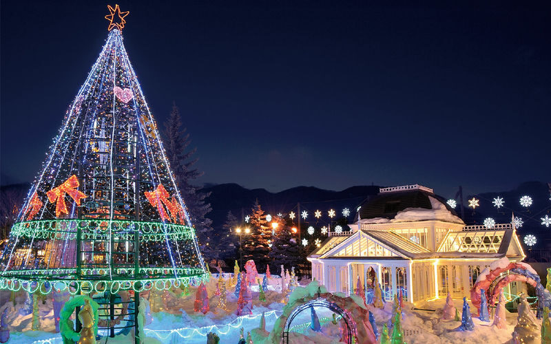 Hokkaido: Customizable Private Car Charter Day Tour | Departs from Sapporo - The price is a starting point, not a final total