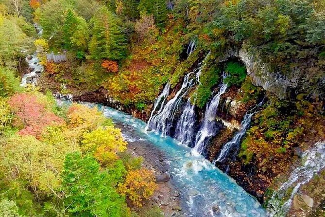 Hokkaido Day Tour From Sapporo: Asahiyama Zoo, Blue Pond Japan - Date and Traveler Information