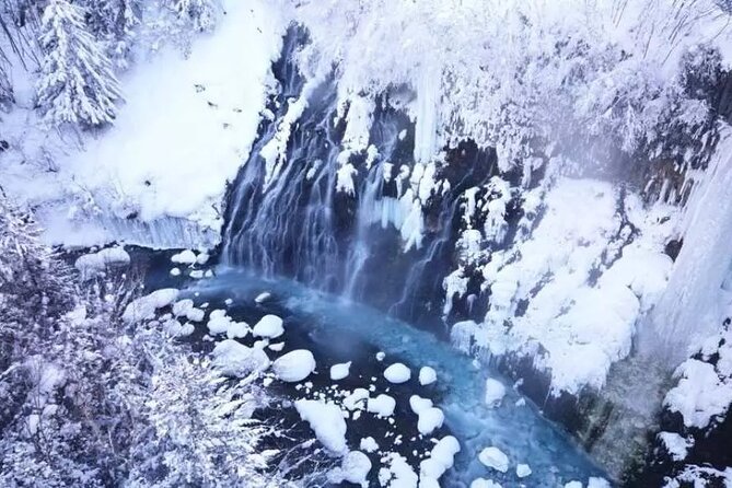Hokkaido Day Tour From Sapporo: Asahiyama Zoo, Blue Pond Japan - Additional Information