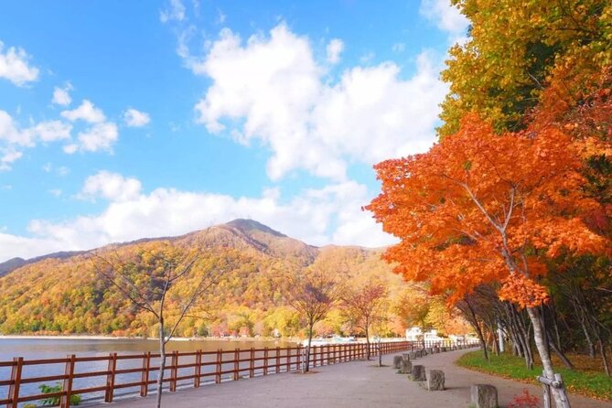 Hokkaido Day Tour From Sapporo: With Bear Park Option - Additional Tour Information