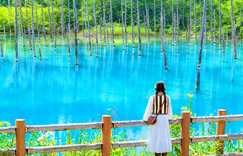 Hokkaido Day Trip: Asahiyama Zoo (Including Admission) + Shikisai-no-oka + Biei Instagram-Famous Trees/Blue Pond & Shirahige Falls (Other Seasons) + Furano Ningle Terrace | Departure from Sapporo - Complimentary Hot/Cold Drink - The short version: what makes this day trip worthwhile