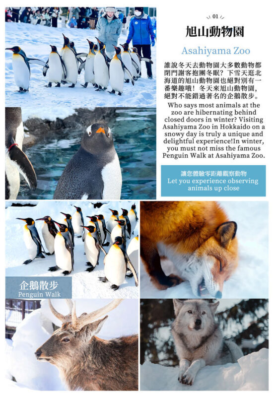 Hokkaido Day Trip: Asahiyama Zoo (Including Admission) + Shikisai-no-oka + Biei Instagram-Famous Trees/Blue Pond & Shirahige Falls (Other Seasons) + Furano Ningle Terrace | Departure from Sapporo - Complimentary Hot/Cold Drink - Biei’s Blue Pond and Shirahige Falls: beautiful, brief stops